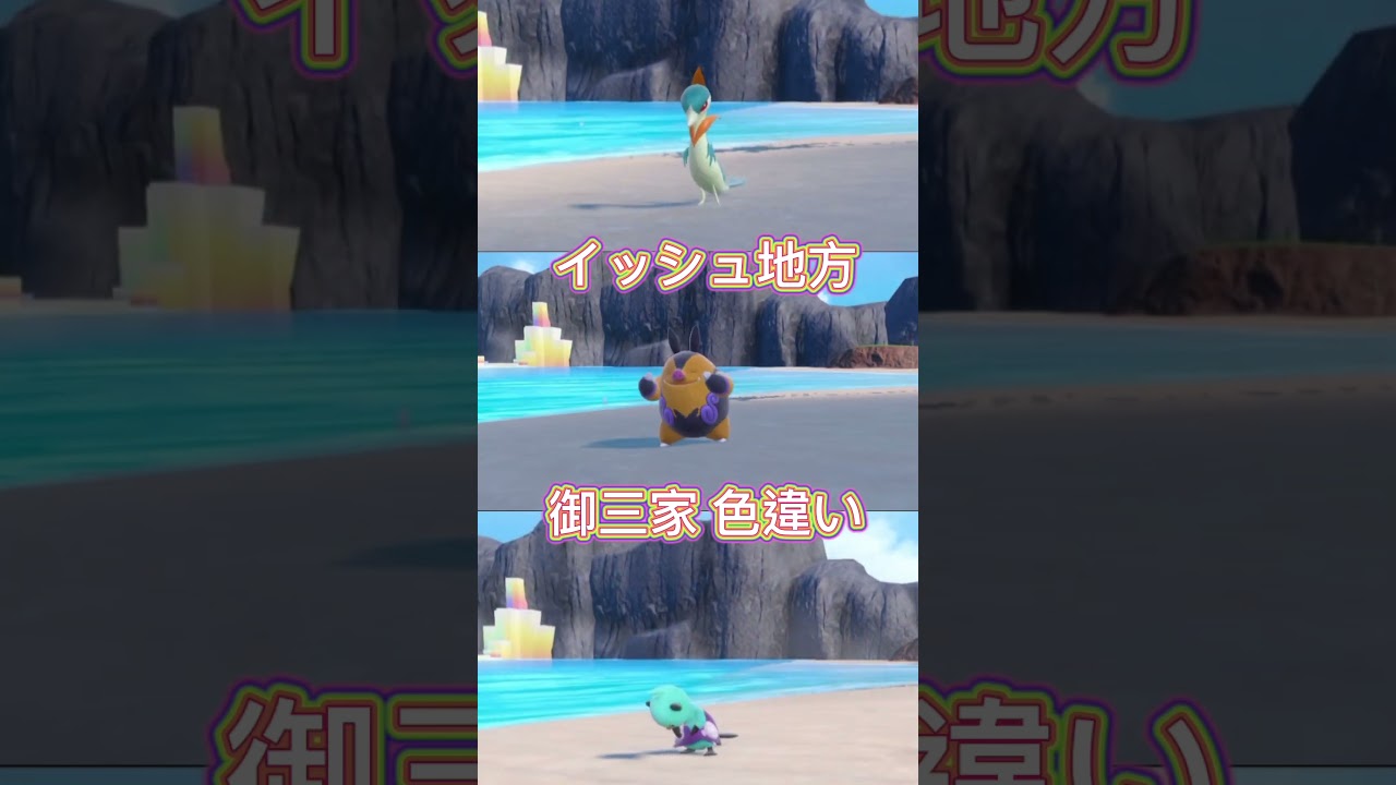 イッシュ地方御三家色違い #ポケモン #pokemon  #御三家 #色違い #イッシュ地方 #ツタージャ #ジャローダ #ポカブ #エンブオー  #ミジュマル #ダイケンキ  #色違いポケモン