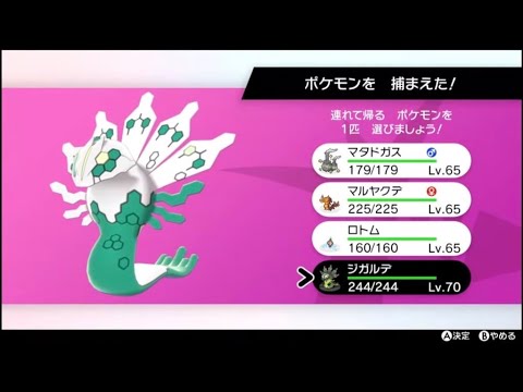 残るはジガルデのみ！ZAに向けてカロス伝説の色厳選を その30【ポケットモンスターソード】