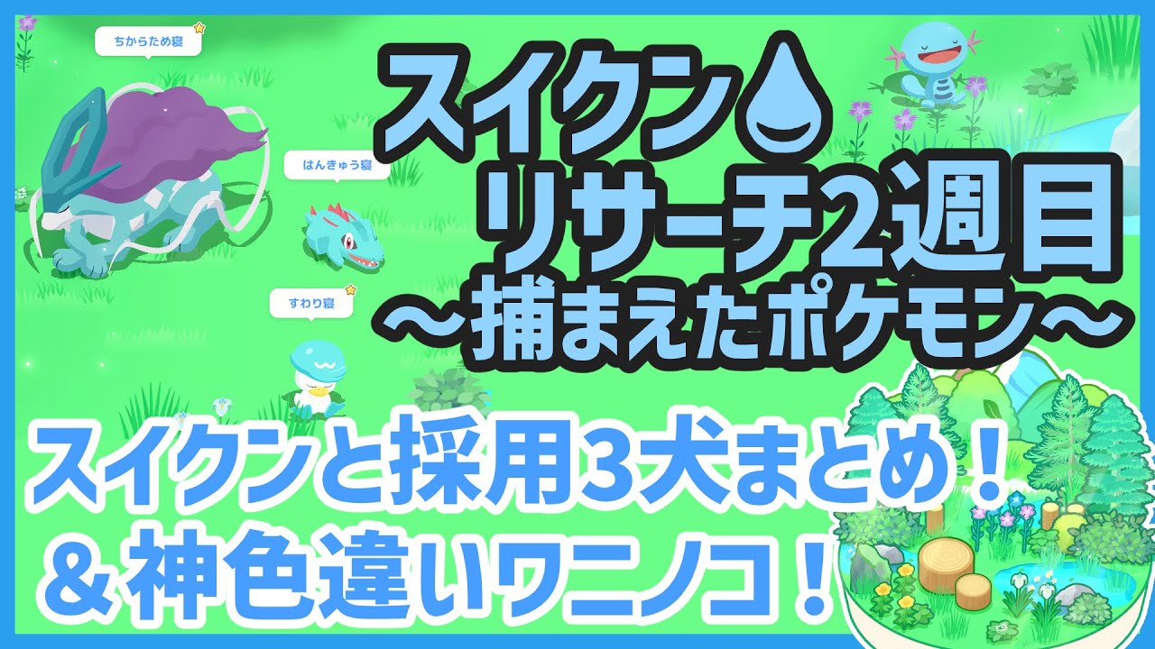 【ポケモンスリープ】スイクンリサーチ2週目＆捕まえたスイクンと採用3犬まとめ！！＆神色違いワニノコ！？【#PokémonSleep】