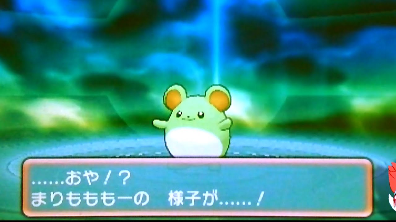 ポケモン オメガルビー・アルファサファイア　色違いマリルの進化（0゜・∀・）色違いマリルリ Shiny Marill Azmarill