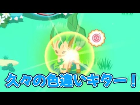 【ポケスリ】最終日に素敵な贈り物が…！【ポケモンスリープ】【POKEMON】