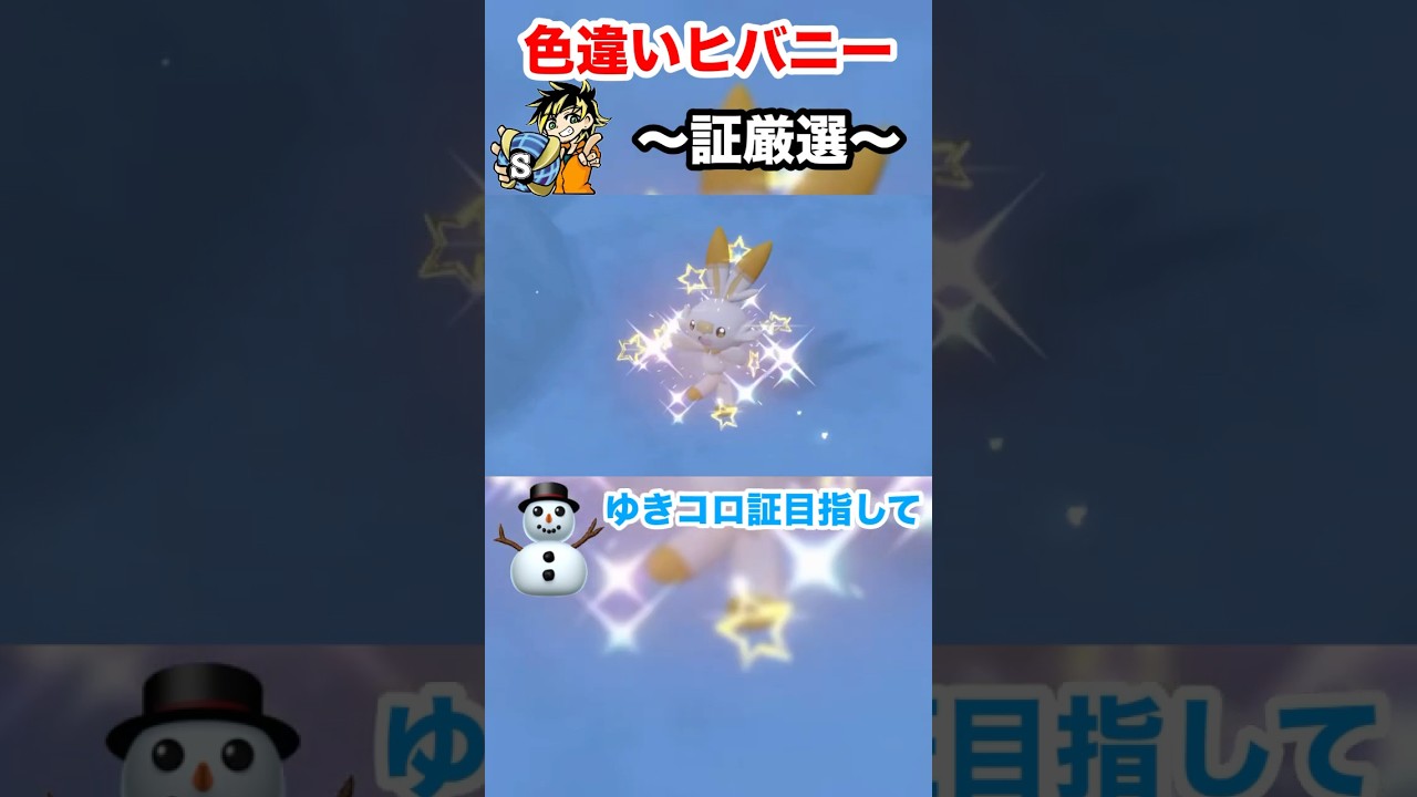 【ポケモンsv】色違いヒバニー厳選！ゆきコロ可愛いから付けたい！ありのままで〜♪ #ポケモン　#色違い厳選　#色違いヒバニー　#証厳選　#shorts #おすすめ　#パチストラッシュ