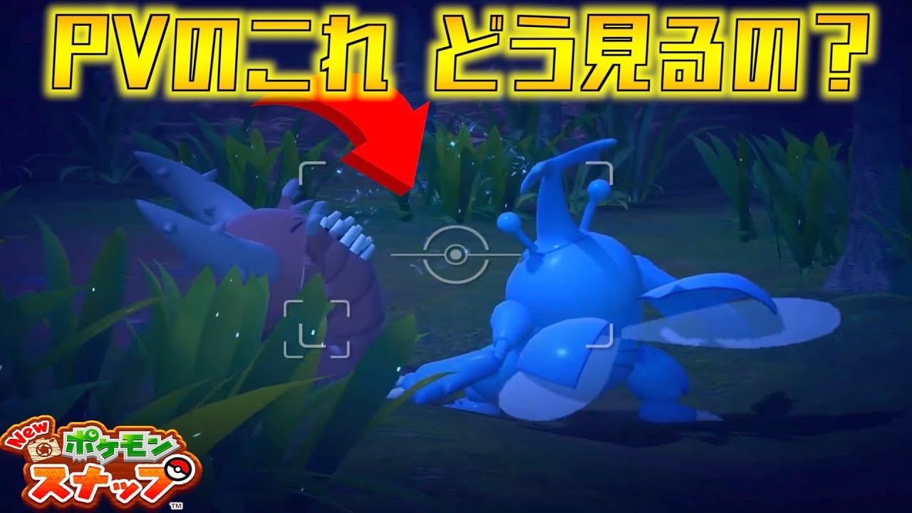 意外と難しい！？へラクロスとカイロスの決闘を見る条件を紹介【newポケモンスナップ】【攻略】