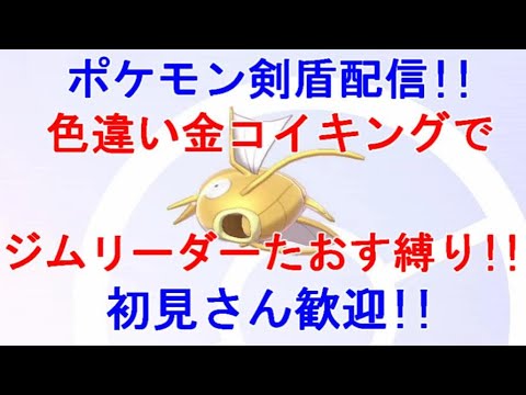 色違い金コイキングでジムリーダーたおす縛り！！キバナ編～ ポケットモンスターソード【ポケモン剣盾】