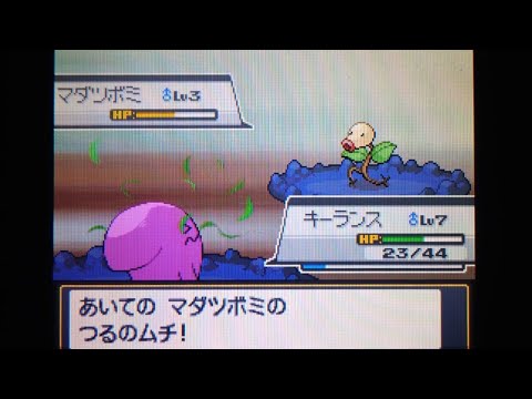 【実況】ポケットモンスターソウルシルバー 色違いソーナンス1匹旅 part3