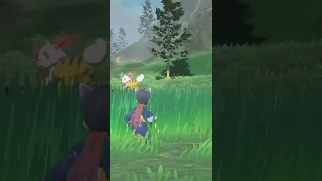 尻尾フリフリ可愛いワンコ🐕色違いヒスイガーディ親分【ポケモンレジェンズアルセウス】#shorts #ポケモン #色違い #pokemon