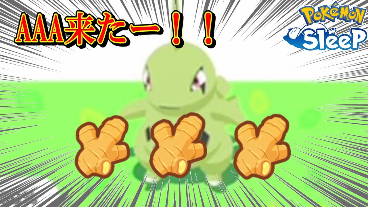 【強個体？】AAA来たけどこのヨーギラスどう？