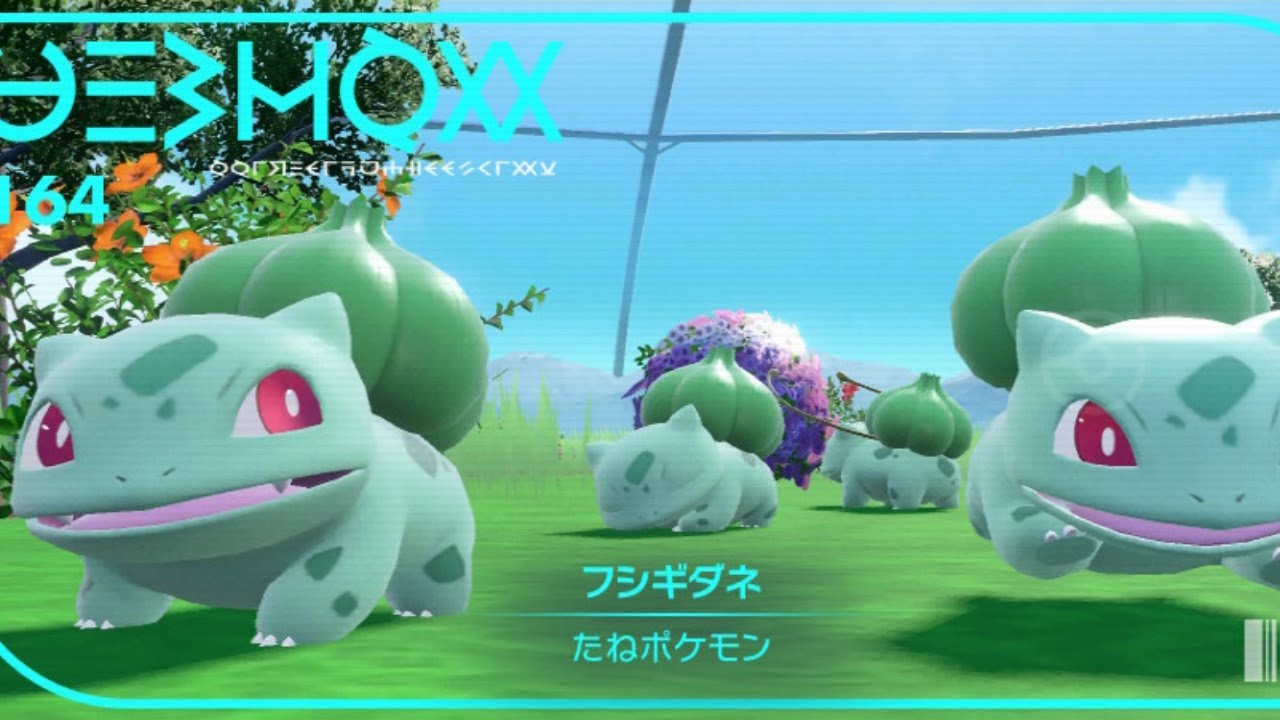 【フシギダネ】ダネダネ！ダネフッシー！【色厳選】