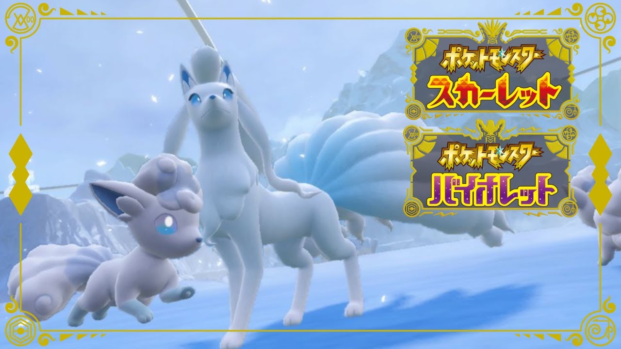 【ポケモンSV】流行のアローラキュウコンでランク爆上げ(目標)