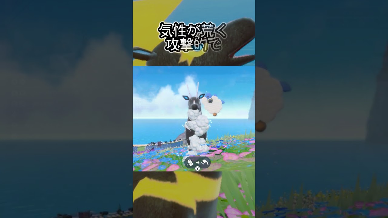 ゼブライカ6匹とピクニック【ポケモンSV】#Shorts