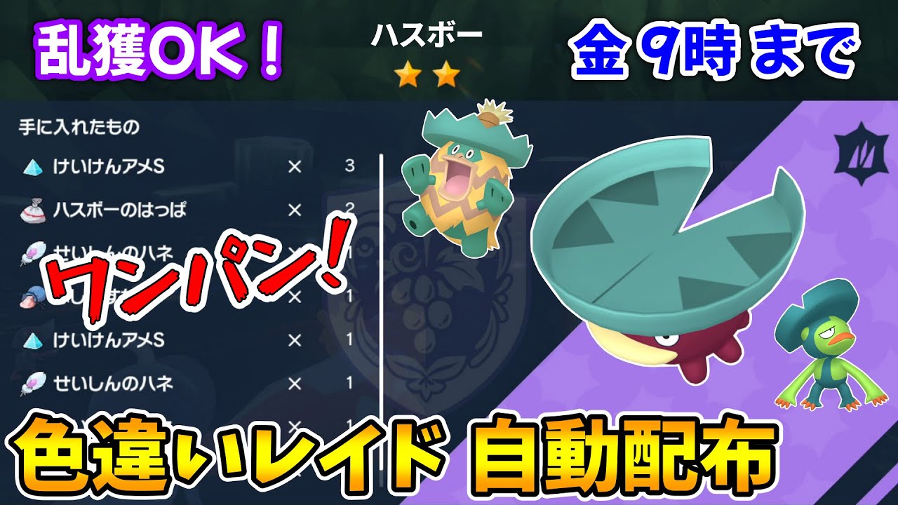 乱獲OK！ハスボー色違いレイド自動配布会！【ポケモンSV】