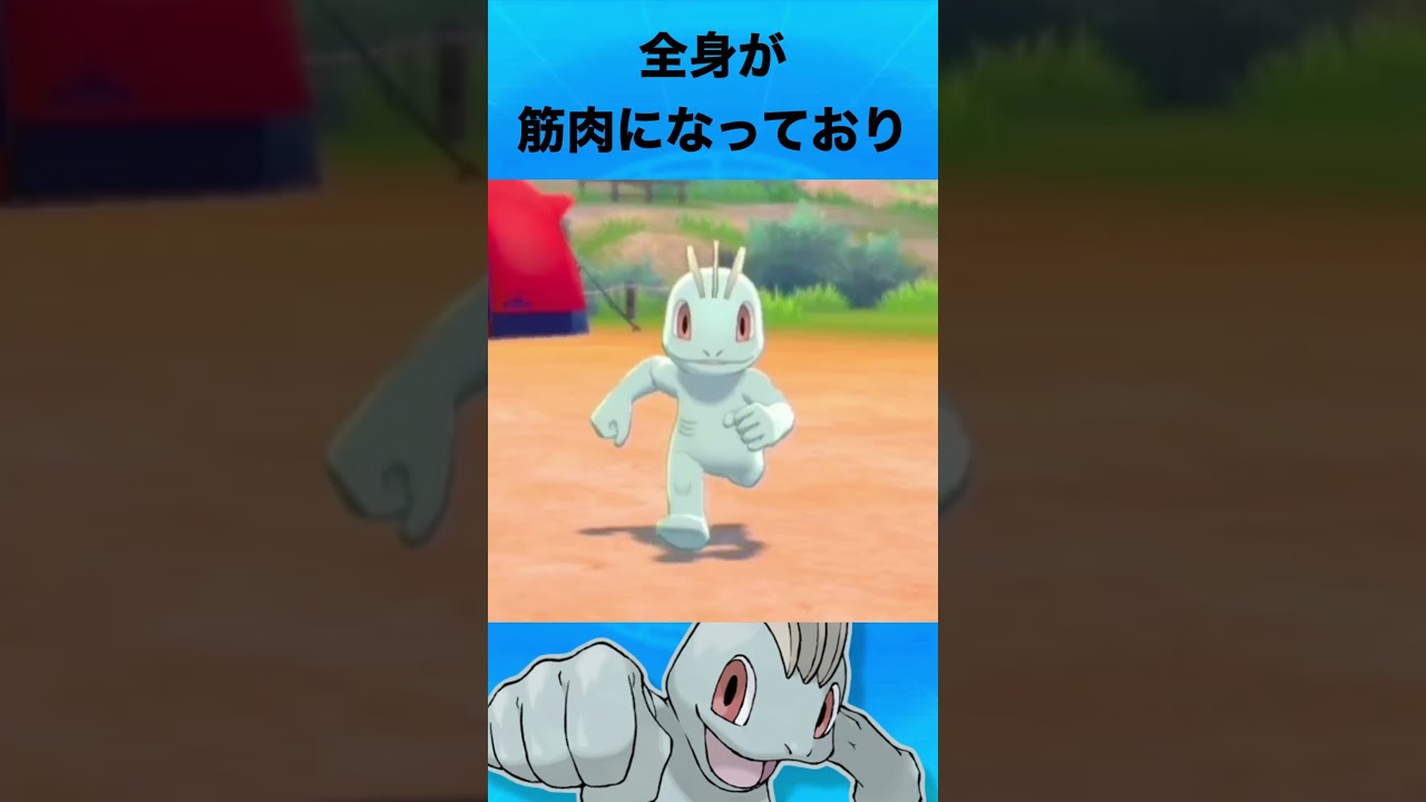 ワンリキーについて #ポケモン #ワンリキー