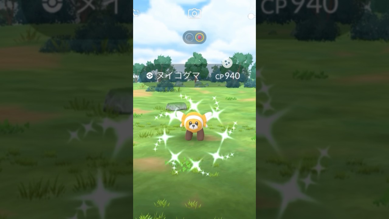 色違いヌイコグマをGET！