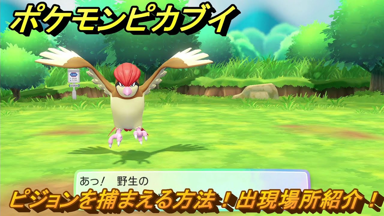 ポケモンピカブイ　ピジョンを捕まえる方法！出現場所紹介！図鑑コンプへの道！　【ポケットモンスター Let's Go! ピカチュウ・イーブイ】