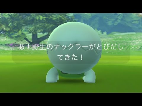 【ポケモンGO】色違いナックラーゲットの瞬間！ #shorts