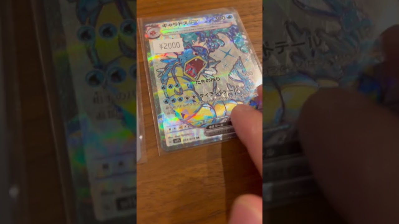 【ポケモンカード】コイキングARとギャラドスSR。ゲットだぜ‼️