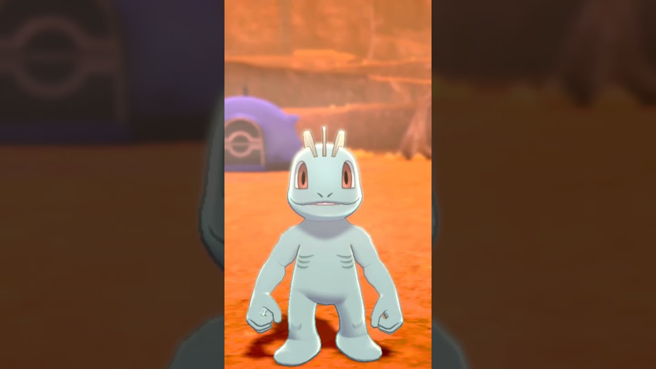 ワンリキー Machop【Pokemon剣盾】