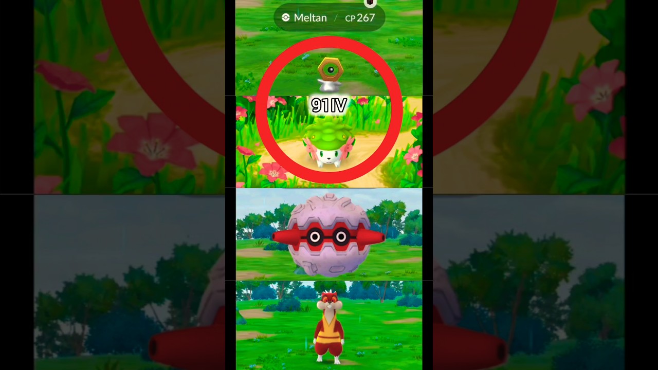 91IV Shaymin & Meltan, Wild Watchog & Forretress | PokéMan #pokemongo