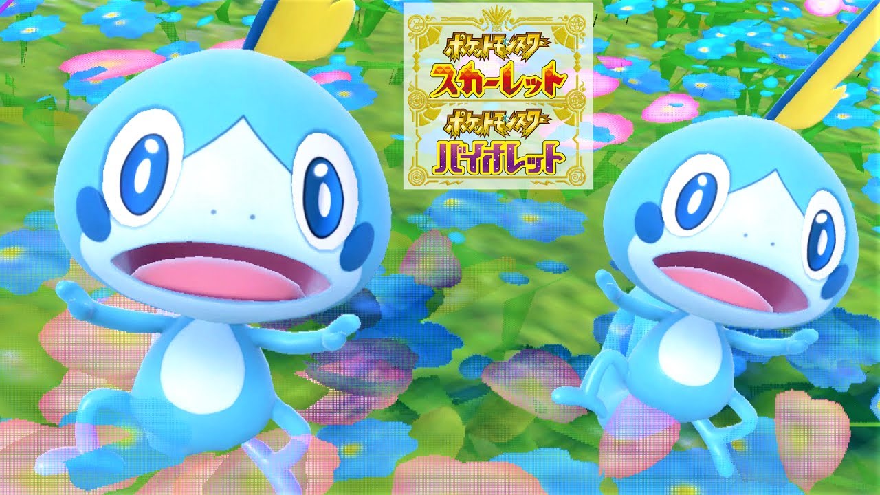 【可愛い】メッソン６匹に囲まれて癒されピクニック【ポケモンSV】