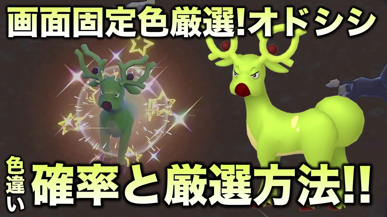 【画面固定!!色厳選】オドシシ編!!【ポケモンSV/スカーレット・バイオレット】