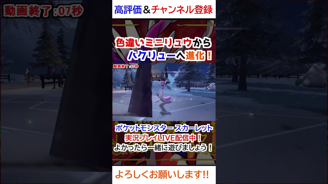 色違いミニリュウ→ハクリュー進化【ポケモンSV】