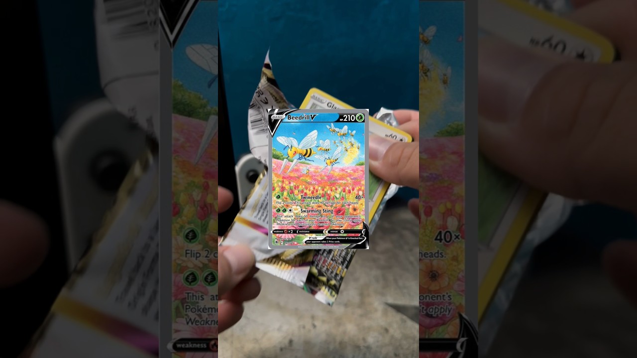Looking For Beedrill #pokemon #pokemontcg #pokemoncards