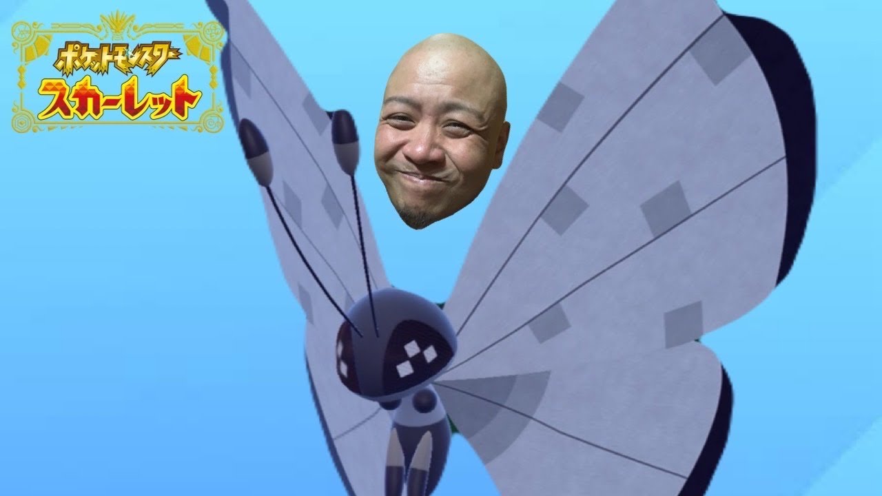 ビビヨンが美しすぎる。【ポケモンSV】