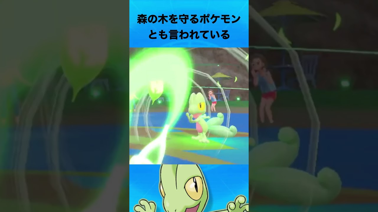 キモリについて #ポケモン #キモリ