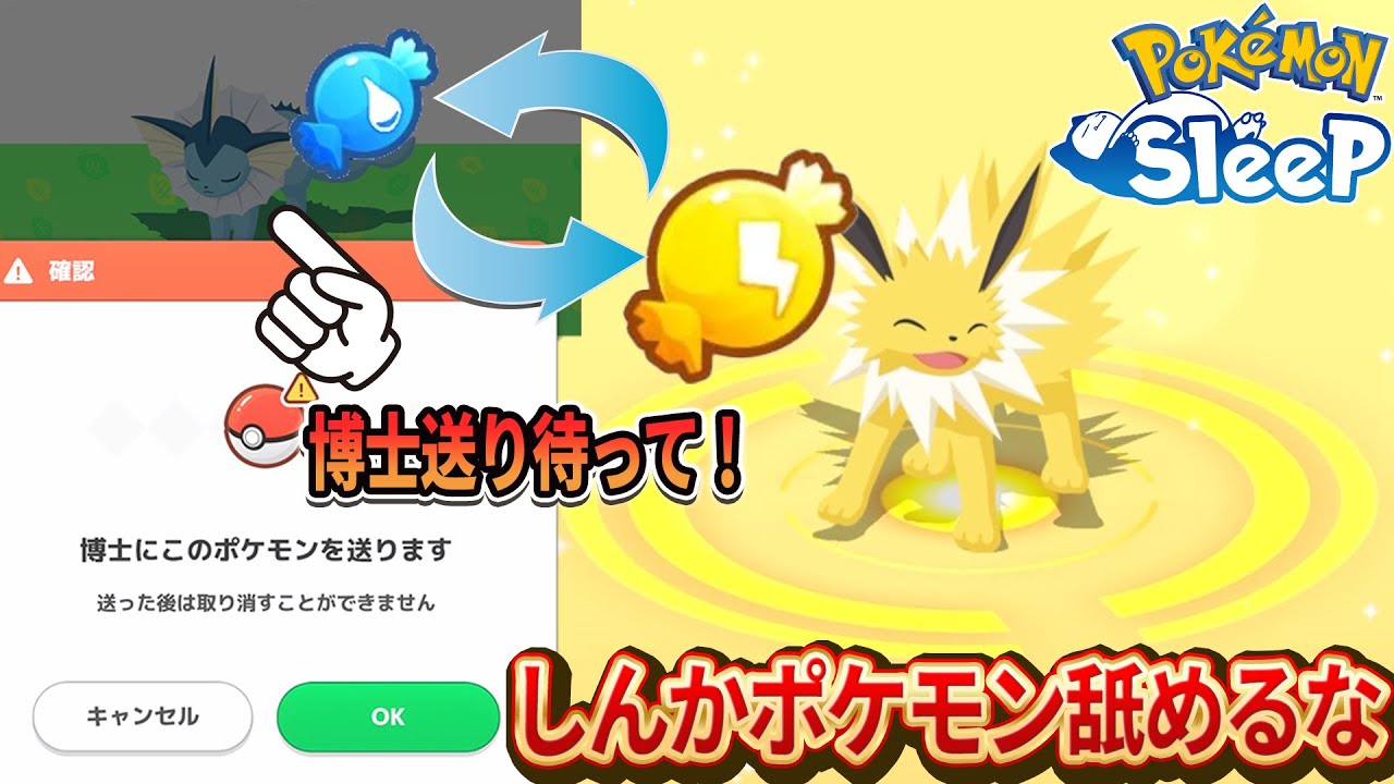 そのアメ送り待って！無理やりサンダースに進化する錬金術【ポケモンスリープ】
