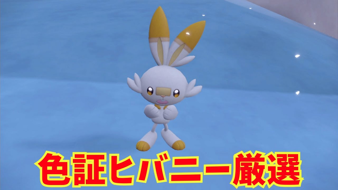 続・色証ヒバニー厳選【ポケモンSV】