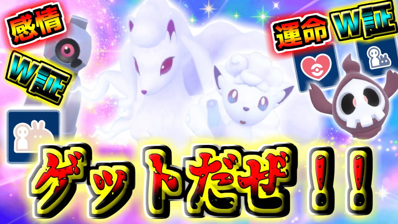 【目標達成】『感情ダブル証ダンバル』ゲットだぜ‼︎+どっしり感情「アローラキュウコン」アイドル感情「アローラロコン」厳選‼︎+念願の『運命ダブル証ヨマワル』出たー‼︎ 【ポケモンSV】