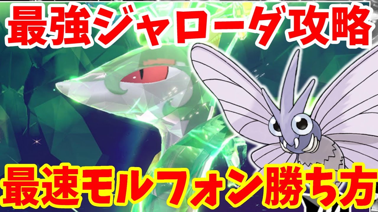 【ポケモンSV】最強ジャローダ攻略！最速で勝てるモルフォンがすごい！【ポケモンスカーレットバイオレット・ゼロの秘宝】