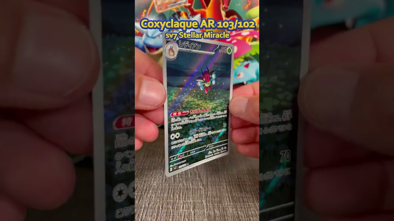 Coxyclaque AR 103/102 SV7 Stellar Miracle