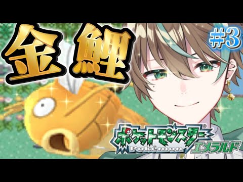 【ポケモンエメラルド】1/8152の確率を乗り越えて『金コイキング』が欲しい！！※3日目【新人vtuber/鈴】