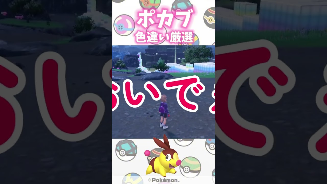 【ポケモンSV】色違い厳選再開だあ！再開一発目はポカブ！ #ポケモン