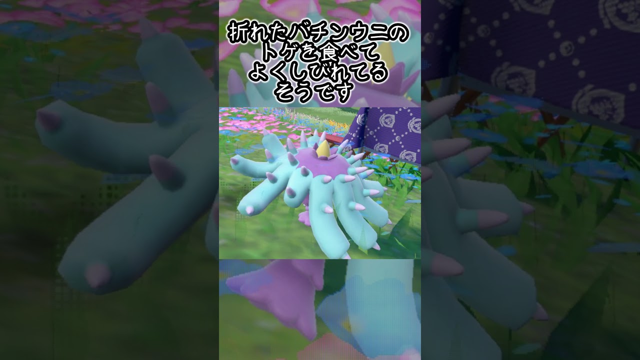 ヒドイデ6匹とピクニック【ポケモンSV】#Shorts