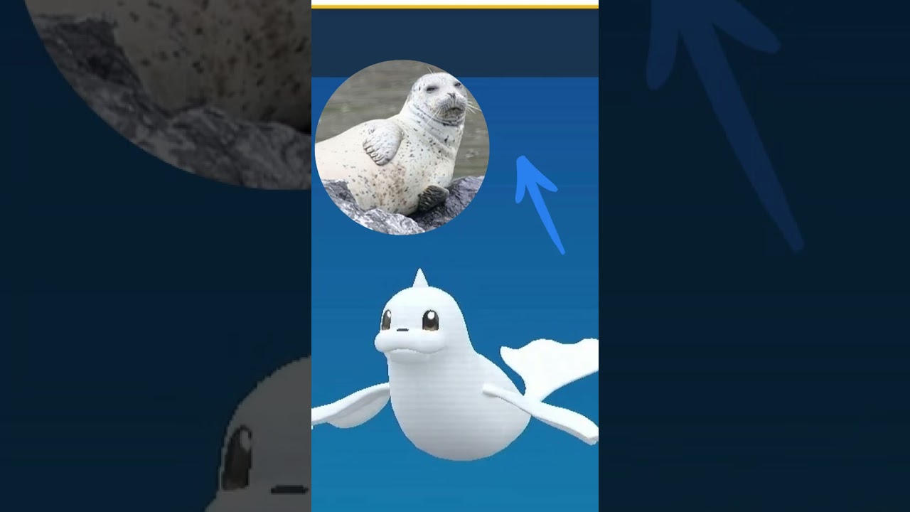 Dewgong - Inspiração - #pokemon #deel #dewgomg