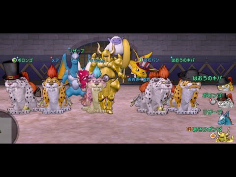 【ドラクエ10】バトルロード究極エビプリ高速周回初挑戦！キラパン6リザードマン1募集🐰20240927
