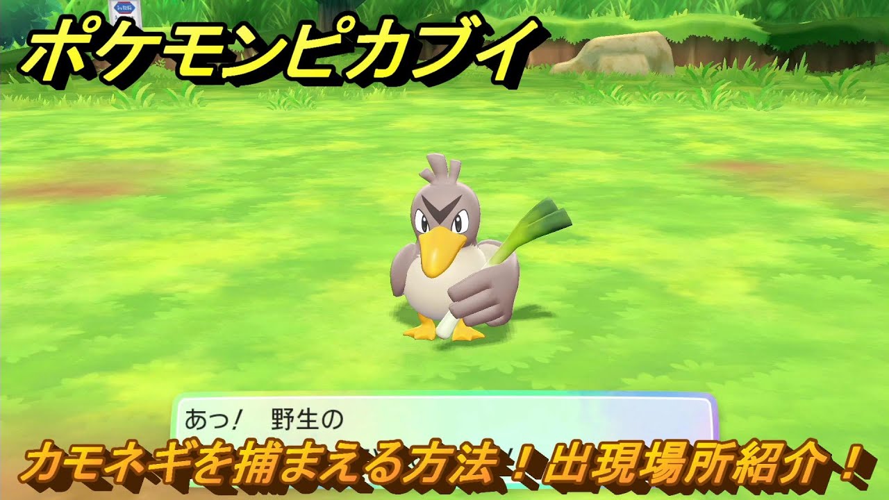 ポケモンピカブイ　カモネギを捕まえる方法！出現場所紹介！図鑑コンプへの道！　【ポケットモンスター Let's Go! ピカチュウ・イーブイ】