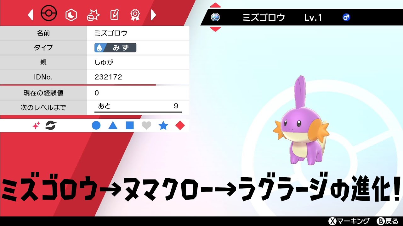 誰得だよ？色違いミズゴロウ→色違いヌマクロー→色違いラグラージへの進化【ポケモン剣盾】