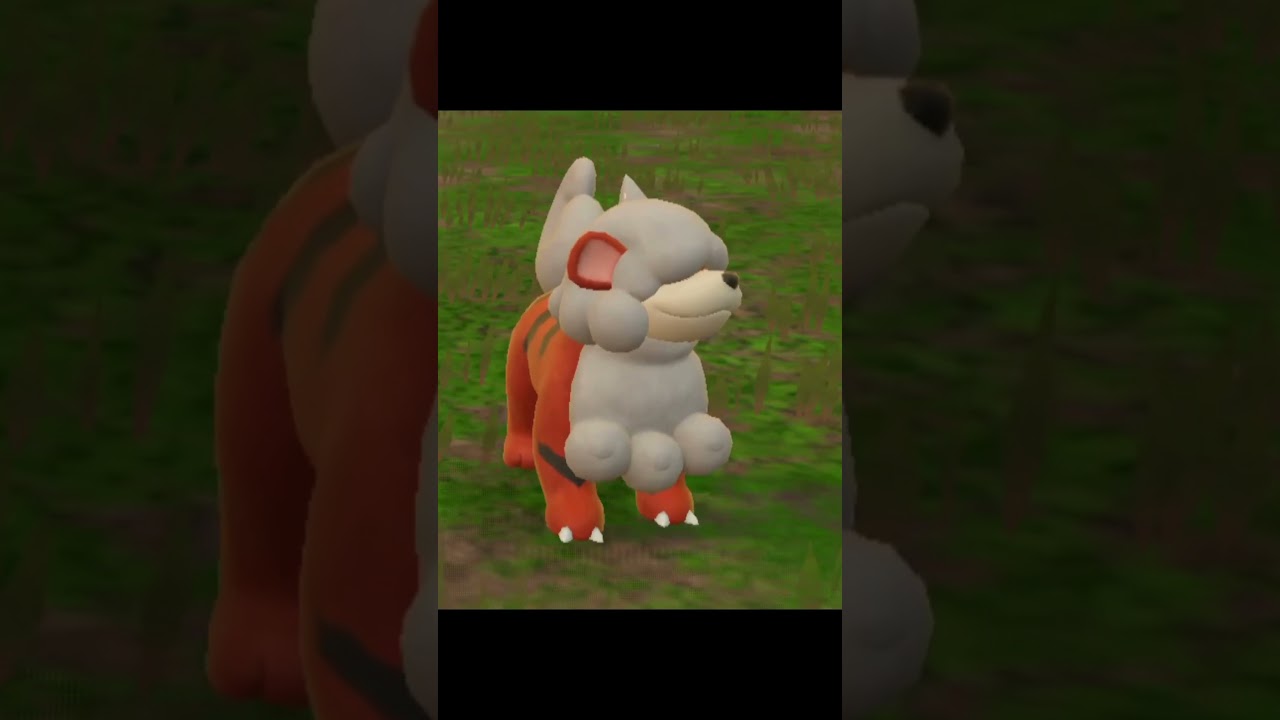 【ポケモンSV/碧の仮面】サザレの相棒のヒスイガーディの仕草　#Shorts