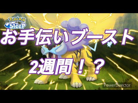 【ポケモンスリープ】お手伝いブーストで食材が飽和！？スイクンで2週間スキルを貯め続けた結果がやばすぎる...