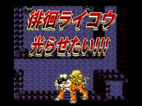 【ポケモン】2世代徘徊ライコウ粘り(ポイズンルーラ)【色違い厳選】