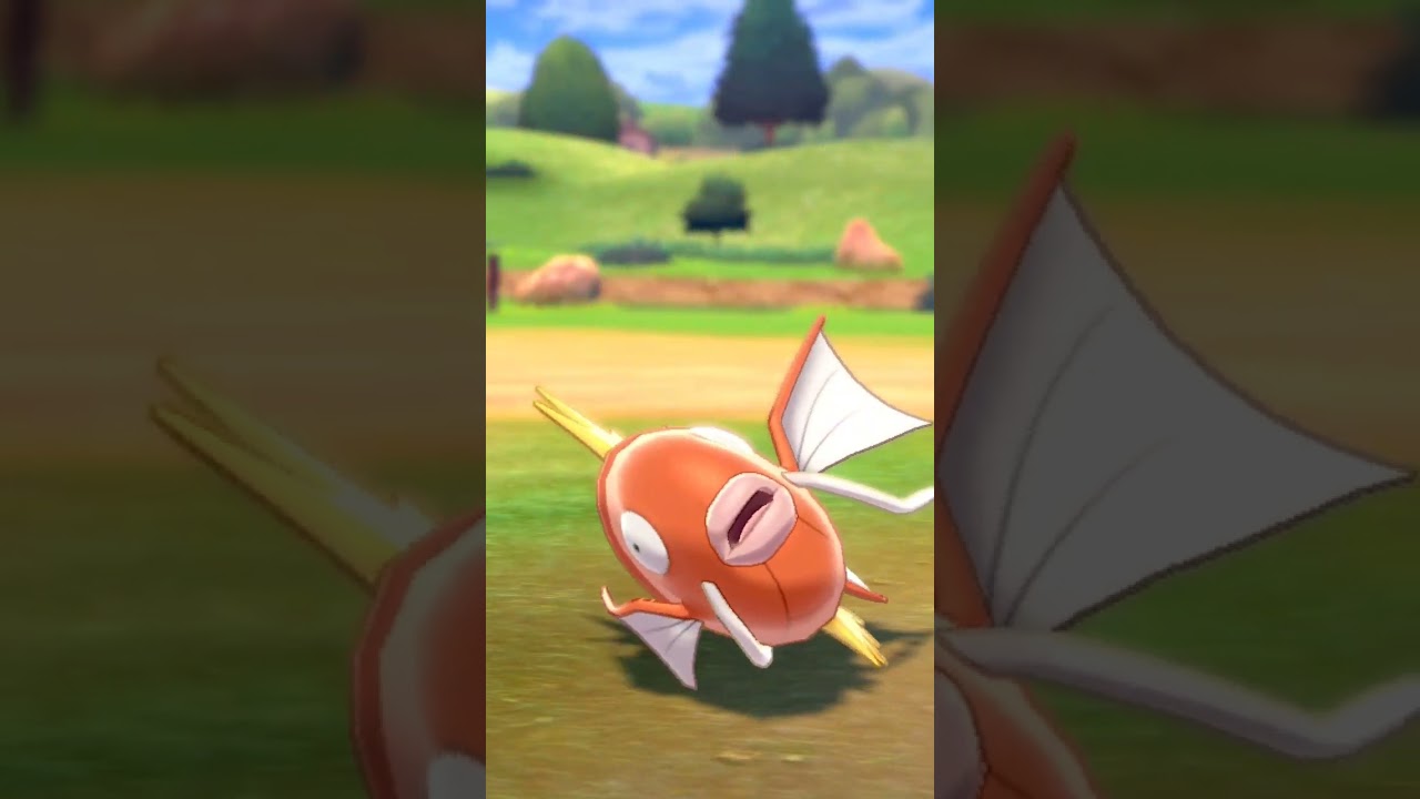 コイキング Magikarp【Pokemon剣盾】