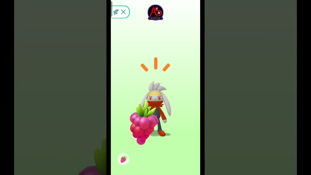 Camilan Beri untuk Raboot - Pokemon GO!! #pokemongo #raboot #rabbit #bunny #gaming #cardgame