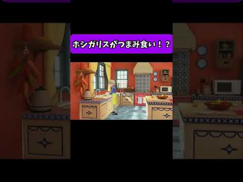 ホシガリスは罪を犯したのか調べることに・・・#shorts