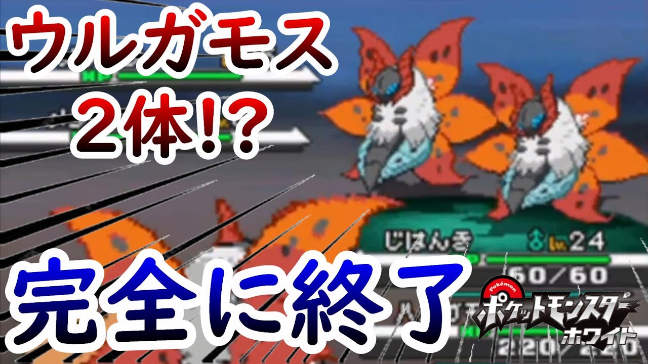 【ひんしで即逃がす縛り】ウルガモスが２体出てきて絶望すぎた【ポケモンBW】