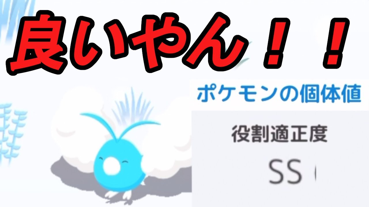 将来性も抜群の強個体チルット来てるのは激熱展開やな【ポケモンスリープ】