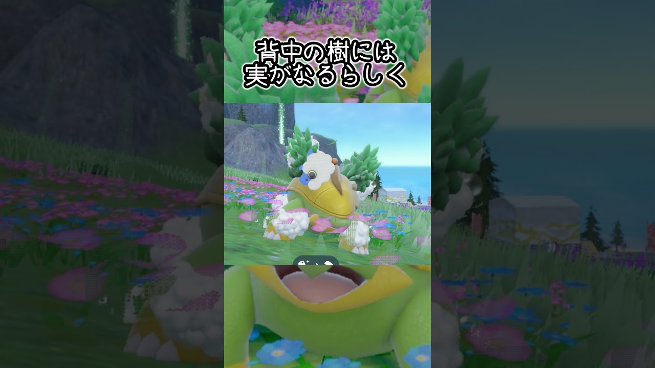 【疲れた人向け】ハヤシガメ6匹とピクニック【ポケモンSV】#Shorts