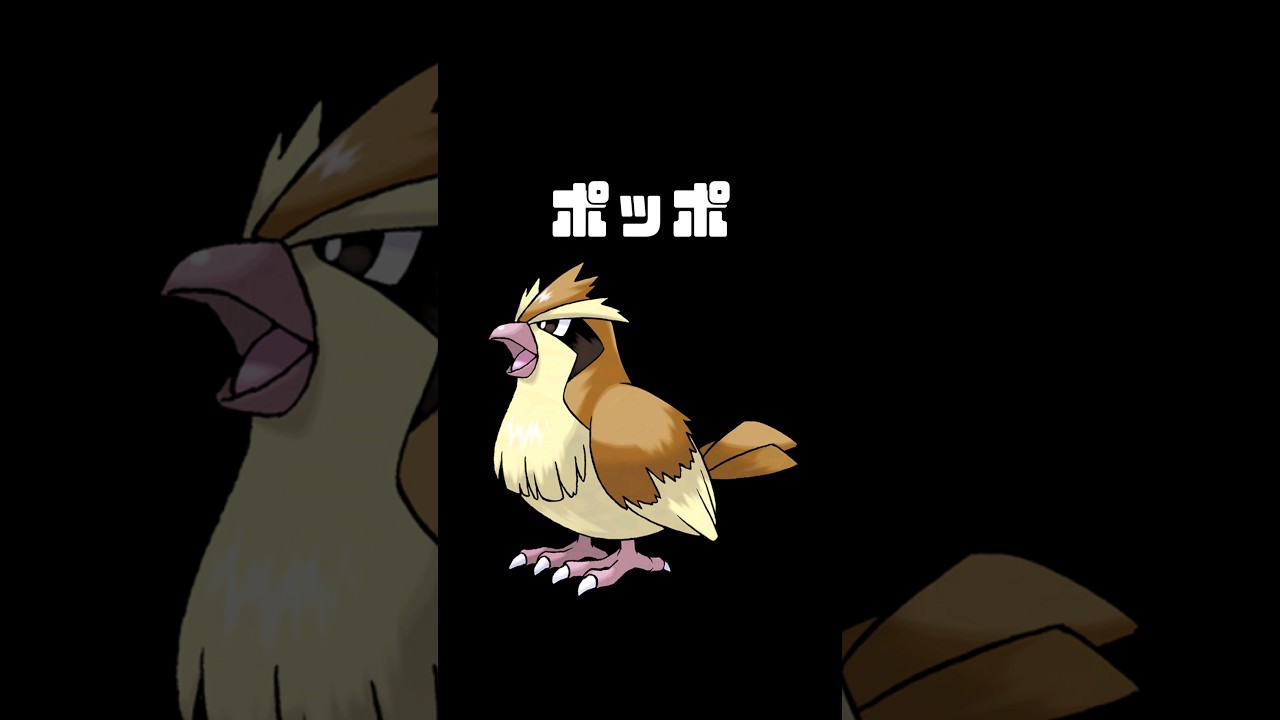 【ポッポ】ポケモン図鑑　絵がなければそのポケモン絶対に見つけられない説【AI】